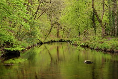 Stunning Peaceful Spring Landscape Image Of River Teign Flowing