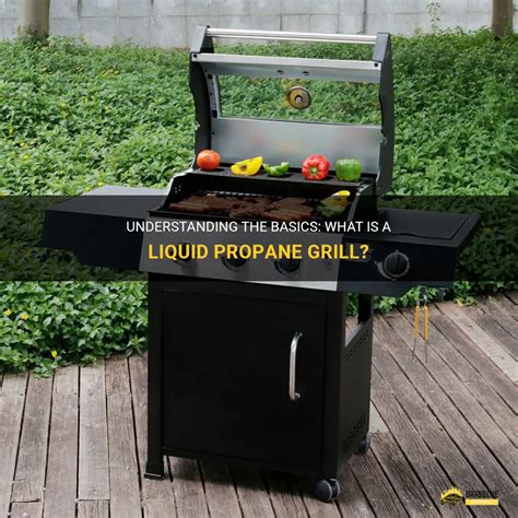 Understanding The Basics What Is A Liquid Propane Grill ShunGrill