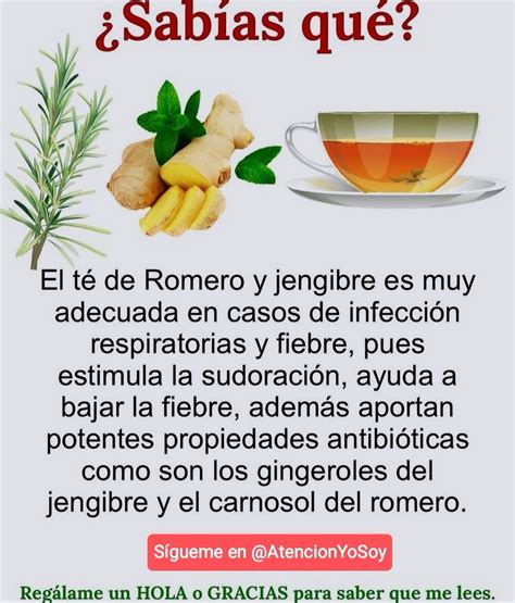 Yo Soy Atención on Twitter Tip Saludable Té de Romero y sus