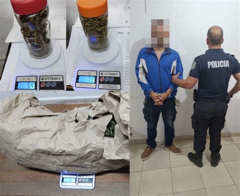 Allanaron La Casa De Un Sujeto Que Habr A Robado Plantas De Marihuana A