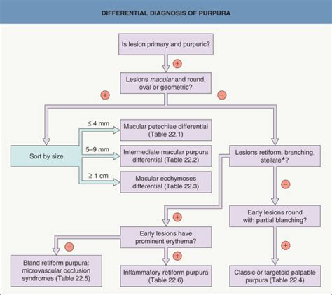 Purpura: Mechanisms and Differential Diagnosis | Plastic Surgery Key