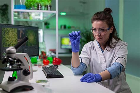 Scientist Examining A Control Sample Through Microscope Researcher