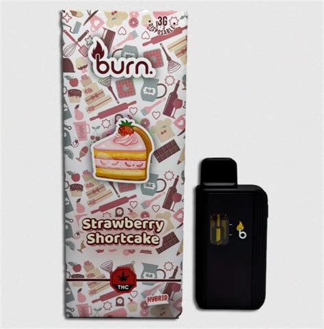 Experience True Flavor Burn Disposable Vapes Your Ultimate Vaping