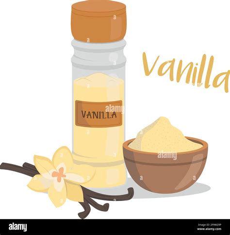 Vector Vanilla Illustration Isolated In Cartoon Style Herbs And