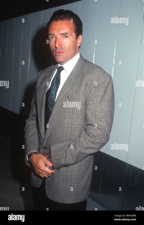 LOS ANGELES, CA - AUGUST 20: Actor Armand Assante attends screening of 'Eternity' on August 20 ...