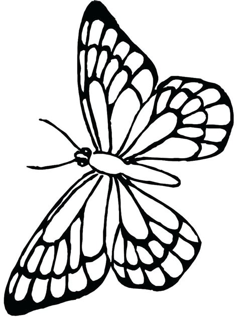 Butterfly Outline Coloring Page At Free Printable Colorings Pages To Print