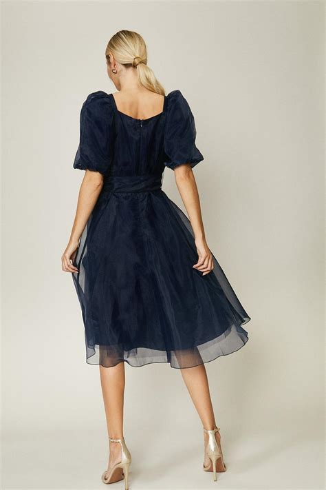 Dresses Organza Tie Waist Dress Coast