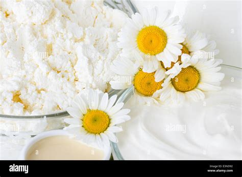 Leche Yogurt Y Queso Fotografías E Imágenes De Alta Resolución Alamy