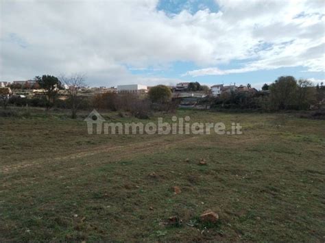 Terreno Non Edificabile Via Luigi Einaudi San C Grammichele Rif