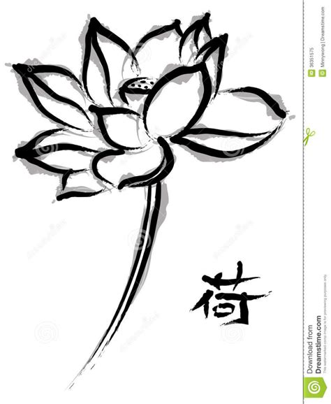 Lotus in Chinese Painting Style Stock Illustration - Illustration of ...