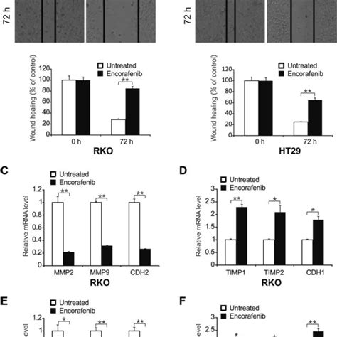 Encorafenib Induces Cell Apoptosis In Crc Cells A Rko And Ht29 Cells