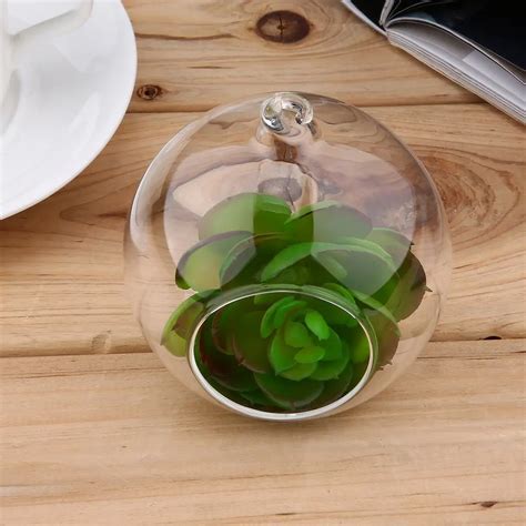 Hot 1pcs Clear Glass Ball Globe Shape Terrarium Ball Flower Hanging