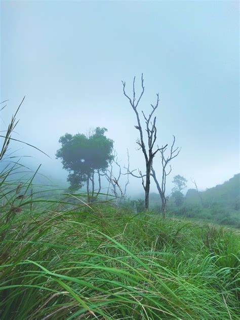 Ponmudi Kerala Expats Travel Together