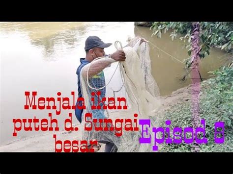 Menjala Ikan Puteh Di Sungai Besar Hasilnya Episod 8 YouTube