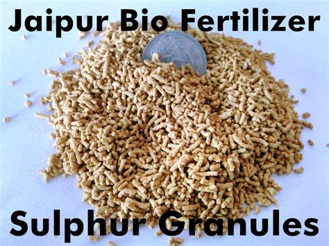 Sulfur Fertilizers - Sulphur Fertilizers Latest Price, Manufacturers ...