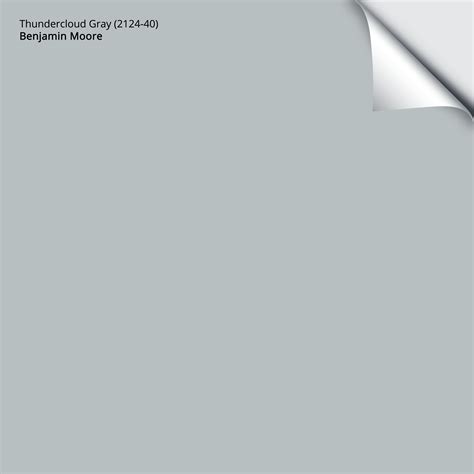 Thundercloud Gray 2124 40 9x1475 Benjamin Moore X Samplize