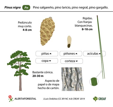 Resultados Alertaforestal