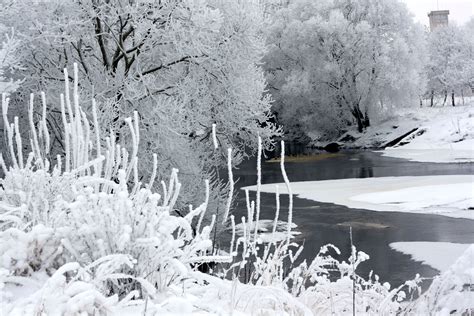 Apšerkšnijęs Nevėžis