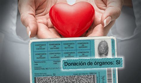 Ley 31756 promueven la donación de órganos y tejidos humanos para