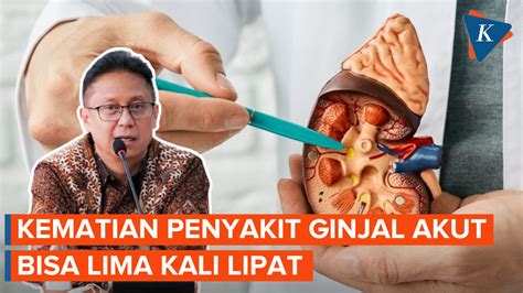 Berita Harian Kasus Kematian Gangguan Ginjal Akut Terbaru Hari Ini