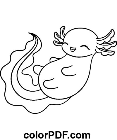 Baby Axolotl Pdf Stampabile Disegni Da Colorare E Libri In Pdf