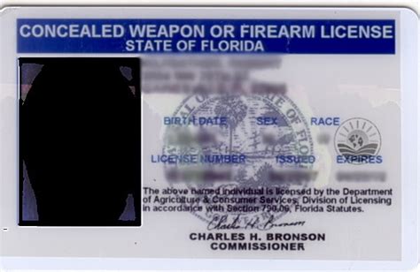 Florida Concealed Carry Laws - Pew Pew Tactical