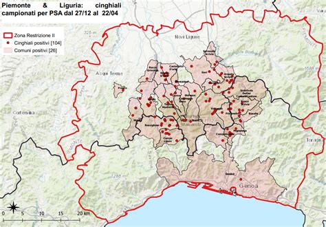 I Controlli Per La Peste Suina Africana Tre Nuovi Casi Uno In