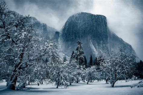 Yosemite Photography Workshops