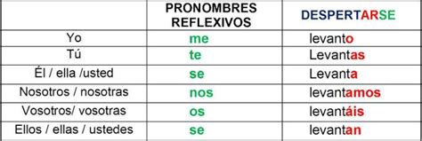 ¿qué Es Pronombres Reflexivos Su Definición Y Significado 2020