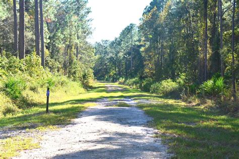 Green Cove Springs Fl 2024 Best Places To Visit Tripadvisor