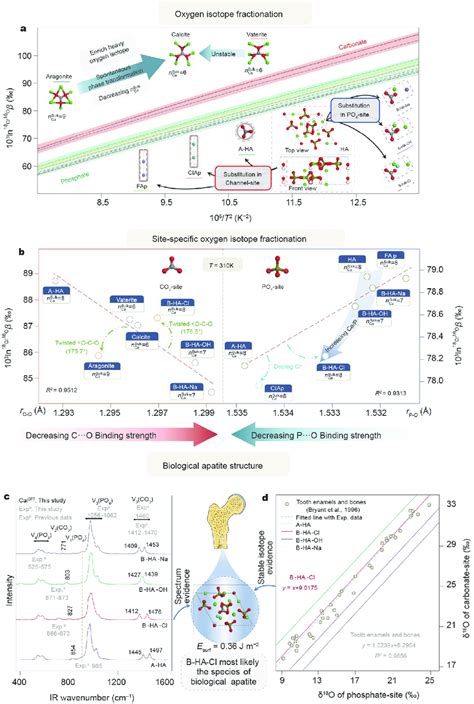 Equilibrium Oxygen Isotope Fractionation Analysis A The Rpfr