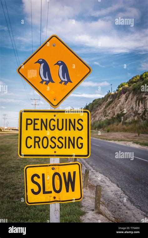 Slow Penguins Crossing Road Sign Hi Res Stock Photography And Images