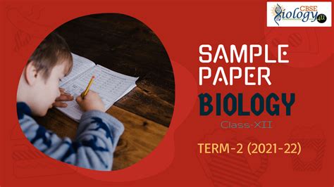 Biology Sample Paper Detailed Solution Class Xii Cbse Term Hot Sex