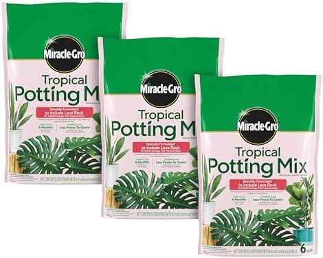 Amazon Miracle Gro Cactus Palm And Citrus Potting Mix For Indoor