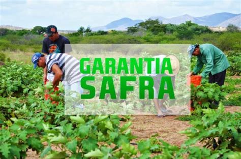 GARANTIA SAFRA RETIRADA DO BOLETO