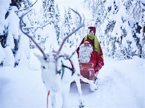 Reindeer Farm Visit With Sledge Ride