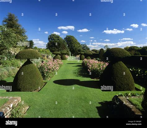 Hinton Hedges Hi Res Stock Photography And Images Alamy