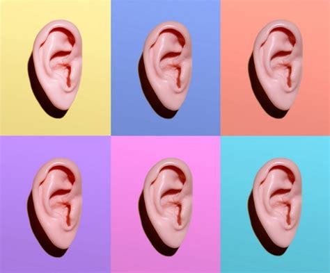 18 Interesting Facts About Ears And Hearing Perfect Hearing