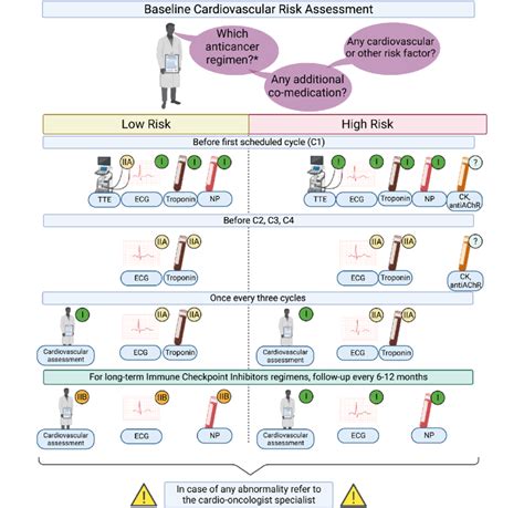 Proposed Flowchart For The Surveillance Of Cardiovascular Toxicities