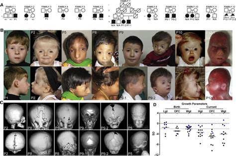 Mutations In Cdc Encoding An Essential Component Of The Pre