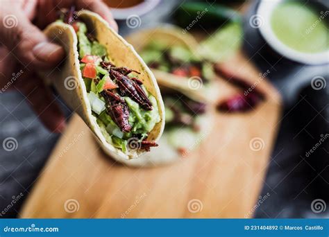 Tacos De Chapulines O Taco Saltamontes Tradicionales En Comida Mexicana