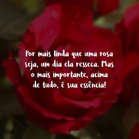 Frases De Rosas Vermelhas LIBRAIN