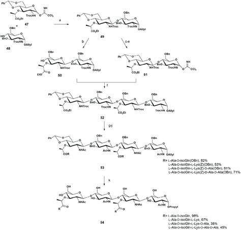 Scheme 8 Synthesis Of The Pgn Fragments 54 Reported By Fukase 67 Download Scientific