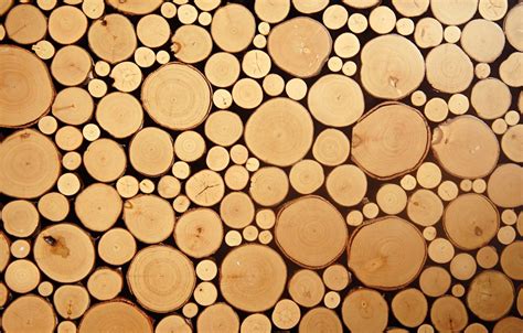 Wood Logs Wallpapers - Wallpaper Cave