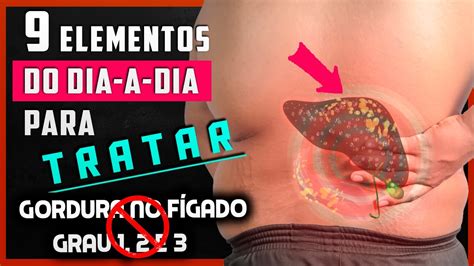 Gordura no FÍGADO grau 1 2 e 3 Sintomas Esteatose Hepática YouTube