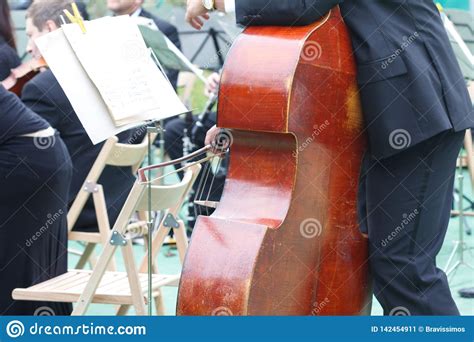 El Violoncelista En Un Concierto Al Aire Libre Libre En Un Parque P