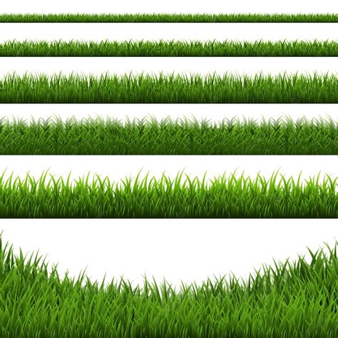 Premium Vector Grass Border Set