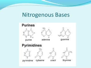 dna sequencing methods | PPT | Free Download