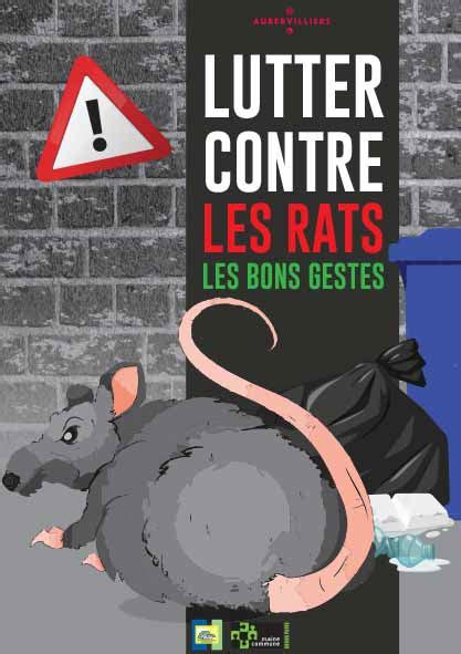 Lutter Contre La Prolif Ration Des Rats Ville D Aubervilliers