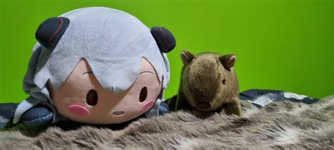 Rei plush meets wombat plush : r/ReiPlush